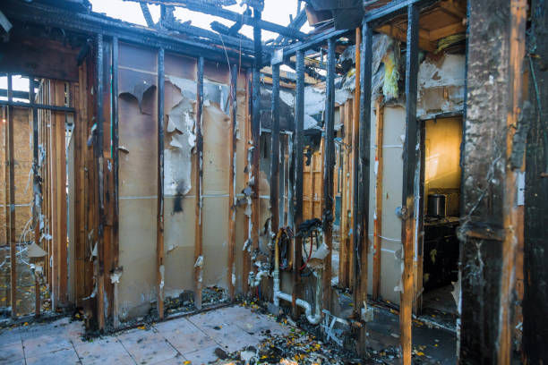 Professional Structural Rebuild technician working in Alamo, NV